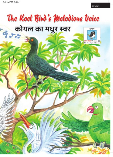 The Koel Bird's Melodious Voice